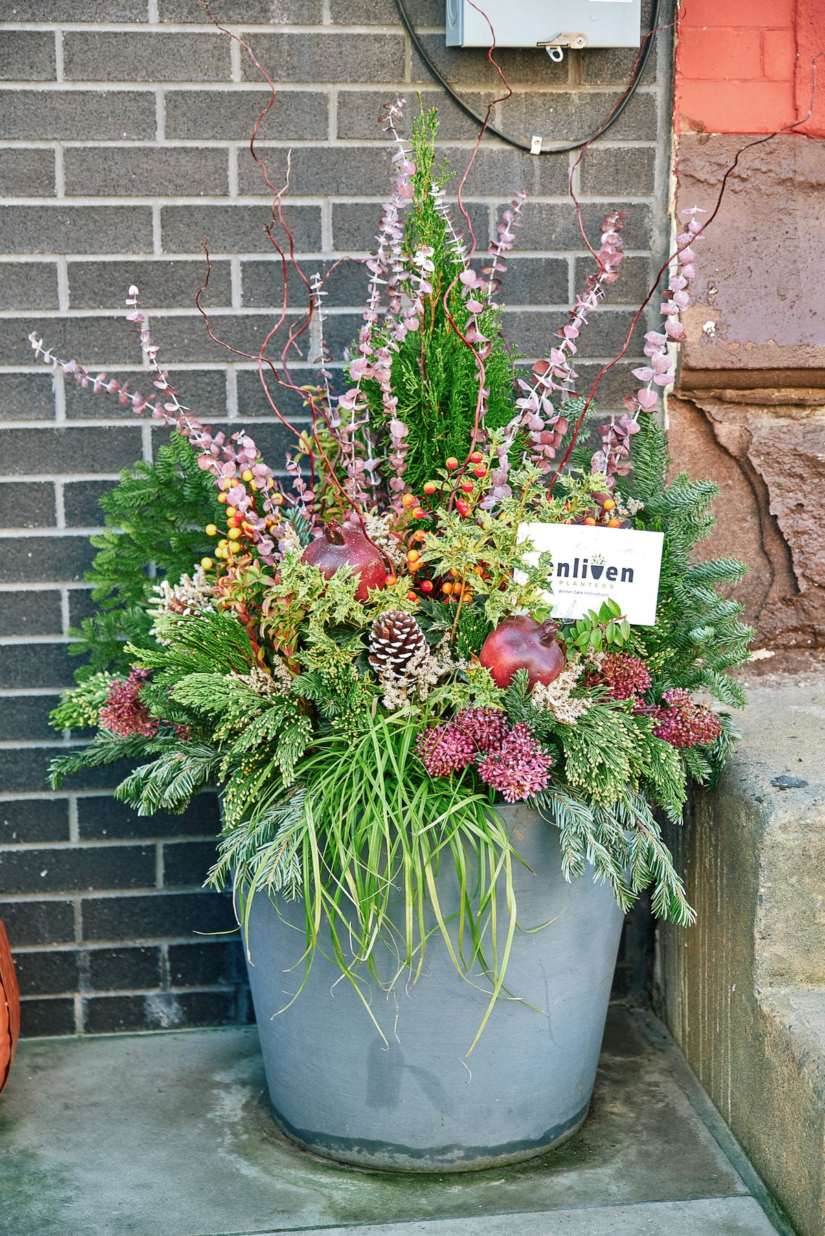 Enliven Planters winter container arrangement